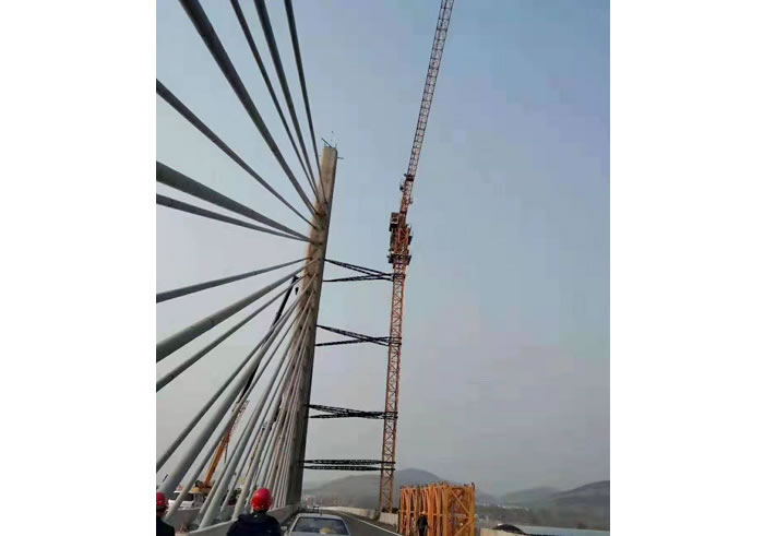 东江大桥中交一局项目塔吊租赁工程案例